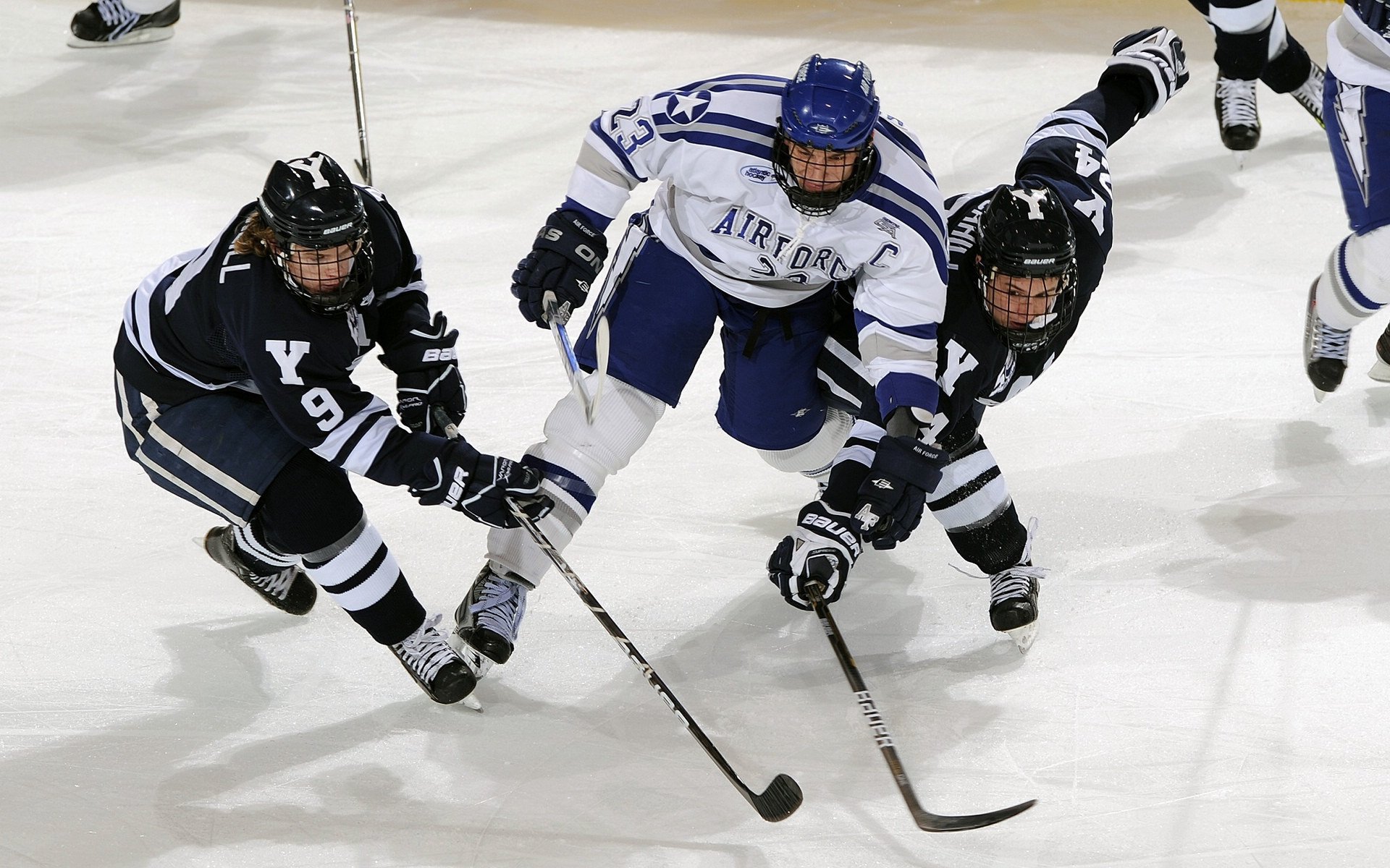 图卢兹主场逆袭，豪取宝贵积分，图卢兹crous